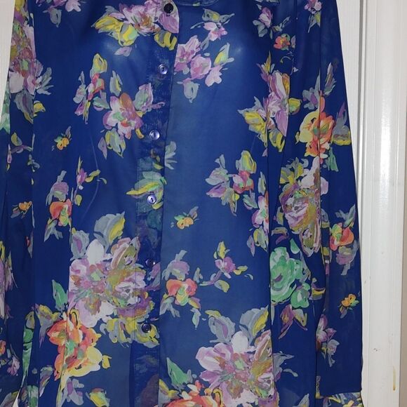 Potpourri Vintage sheer blue floral button down blouse  Sz XL EUC - Picture 2 of 4